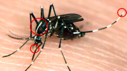 Screen-Shot-2013-08-01-at-10