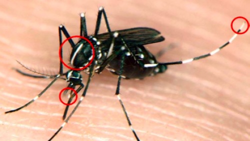 Screen-Shot-2013-08-01-at-10