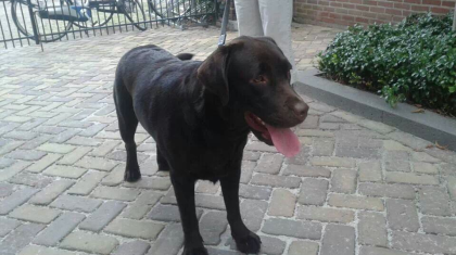 Screen-Shot-2013-08-08-at-19