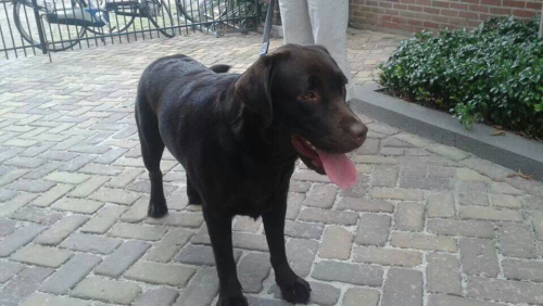 Screen-Shot-2013-08-08-at-19