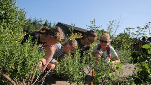 Slotactiviteit-KERNgezond-Nederweert-3