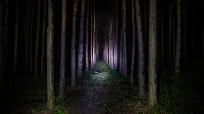 Spokentocht-bos-Halloween