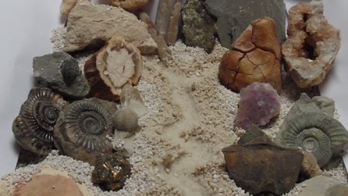 Stenen-en-Fossielen-zoekmiddag-bij-Natuur-en-Miliecentrum-Weert