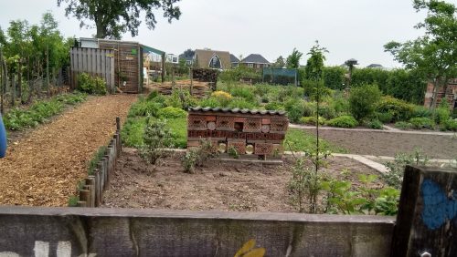 Stichting-Bij-zzzaak