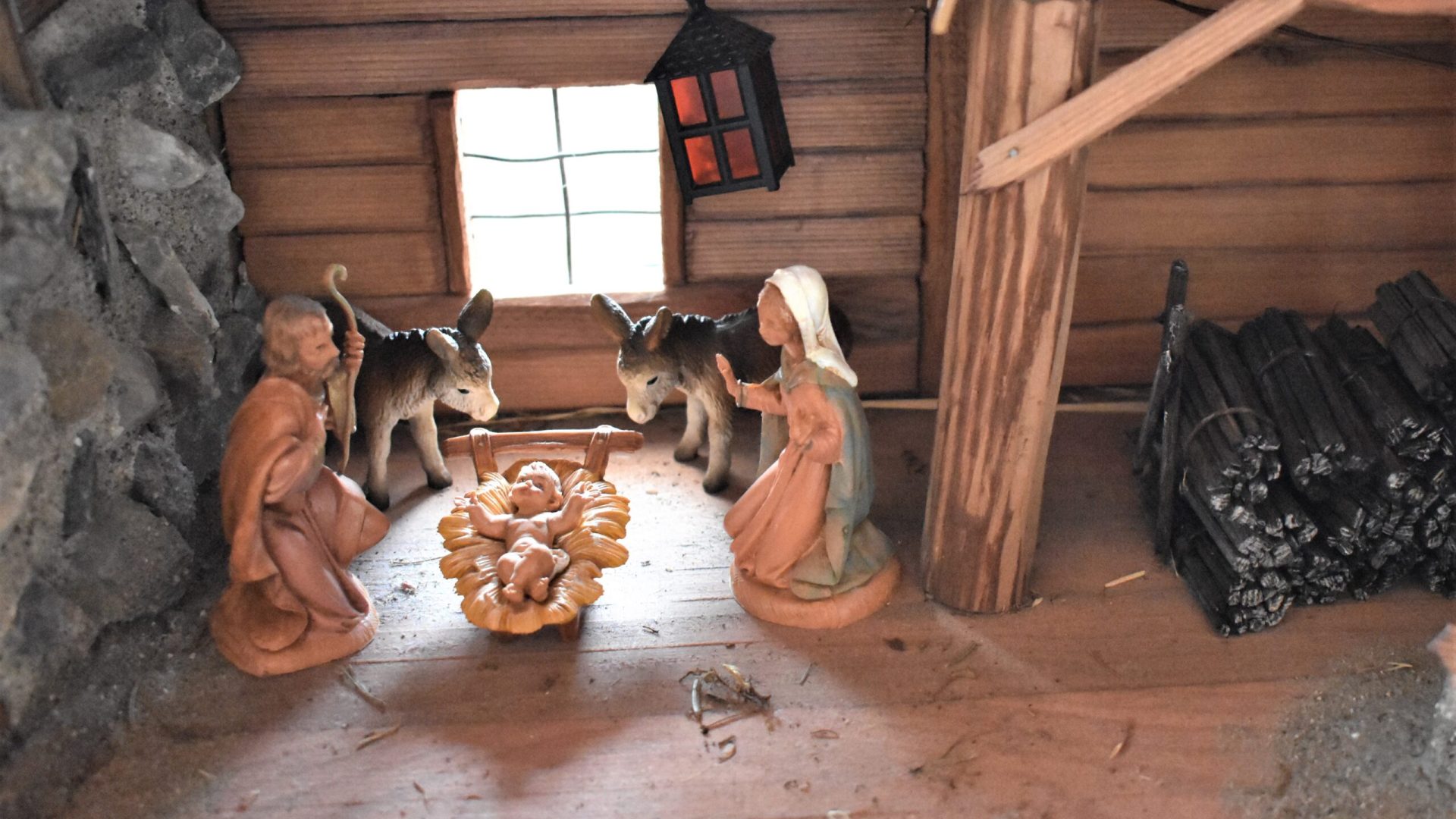 Foto | Roari - depositphotos.com