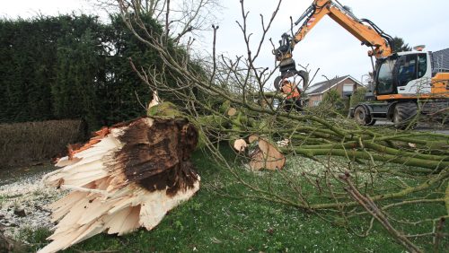 Storm-18-1-2018-Hortensiastraat-Richard-van-der-Steen