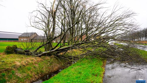 Stormschade-Wetering-N266-Nederweert-4