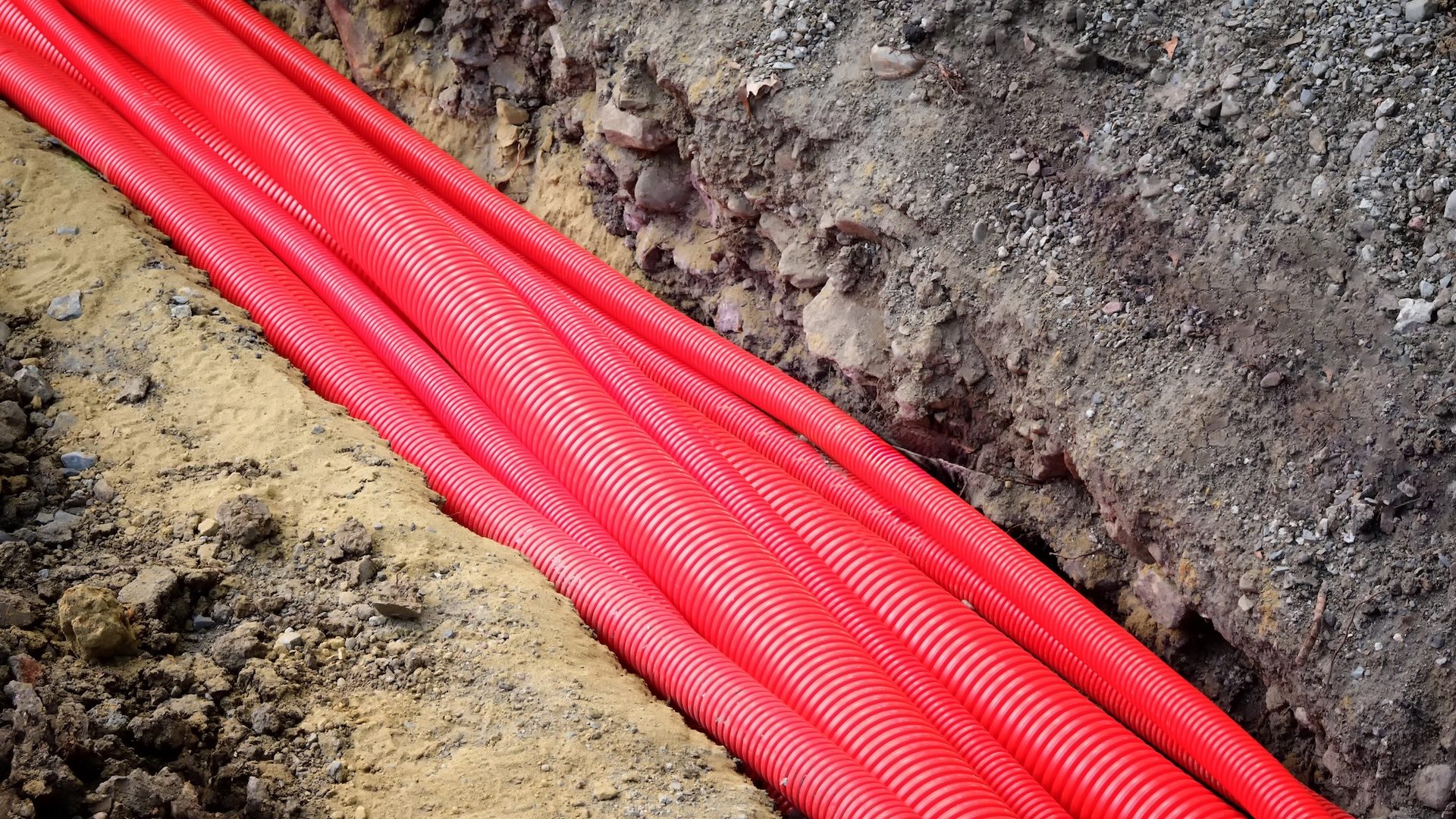 Foto | accent-p.mail.ru - depositphotos.com