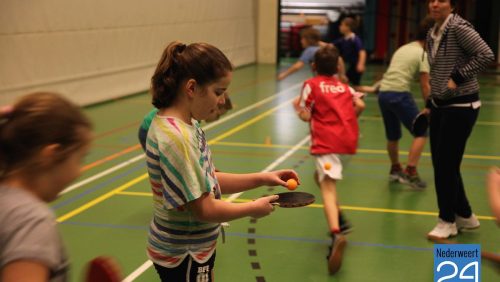 Tafeltennis nederweert basisscholen