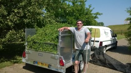 Taxus-Taxi Taxus-Taxi