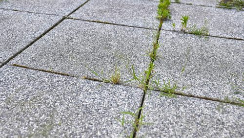 Foto: Depositphotos Gudella