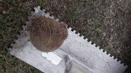 Tennistoernooi-Pinnenland-2022-op-openingsdag-stilgelegd-na-archeologische-vondst-3