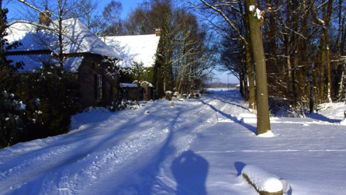 Theaterboerderij-Boeket