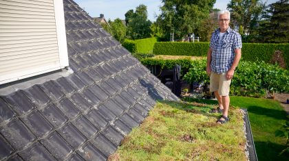 Ton-van-Haperen-tevreden-over-zijn-stukje-groene-dak-1 Ton-van-Haperen-tevreden-over-zijn-stukje-groene-dak-1