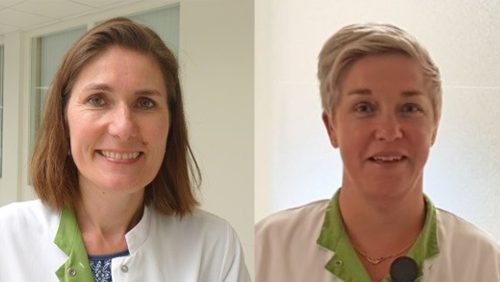 Toon-Hermans-Huis-Weert