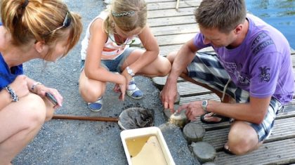 Vaderdagwandeling-De-Pelen