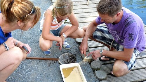 Vaderdagwandeling-De-Pelen