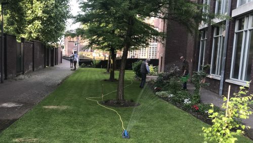 Vermijd-tuin-van-zorgcomplex-in-Nederweert