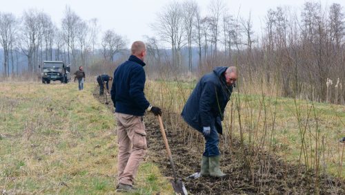 Vlechtheg-Vogelwerkgroep
