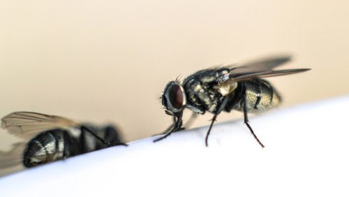 Foto | arrat.darkyugi@gmail.com depositphotos.com