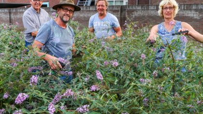 Vlinderpad-snoeien-1