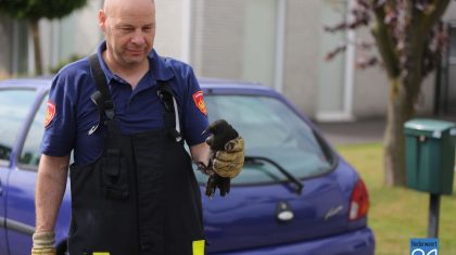 Vogel-in-Schoorsteen-Weert-4725