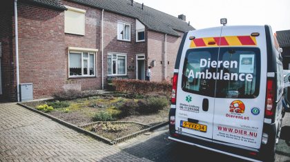 Vogel-in-afzuigkap-Nederweert-1