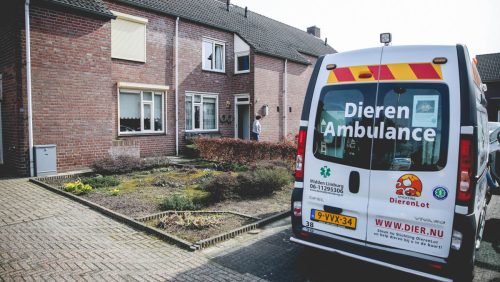 Vogel-in-afzuigkap-Nederweert-1