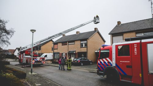 Vogel-in-schoorsteen-Hunsel-1