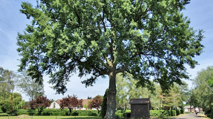 Voorjaarsfietstocht Voorjaarsfietstocht