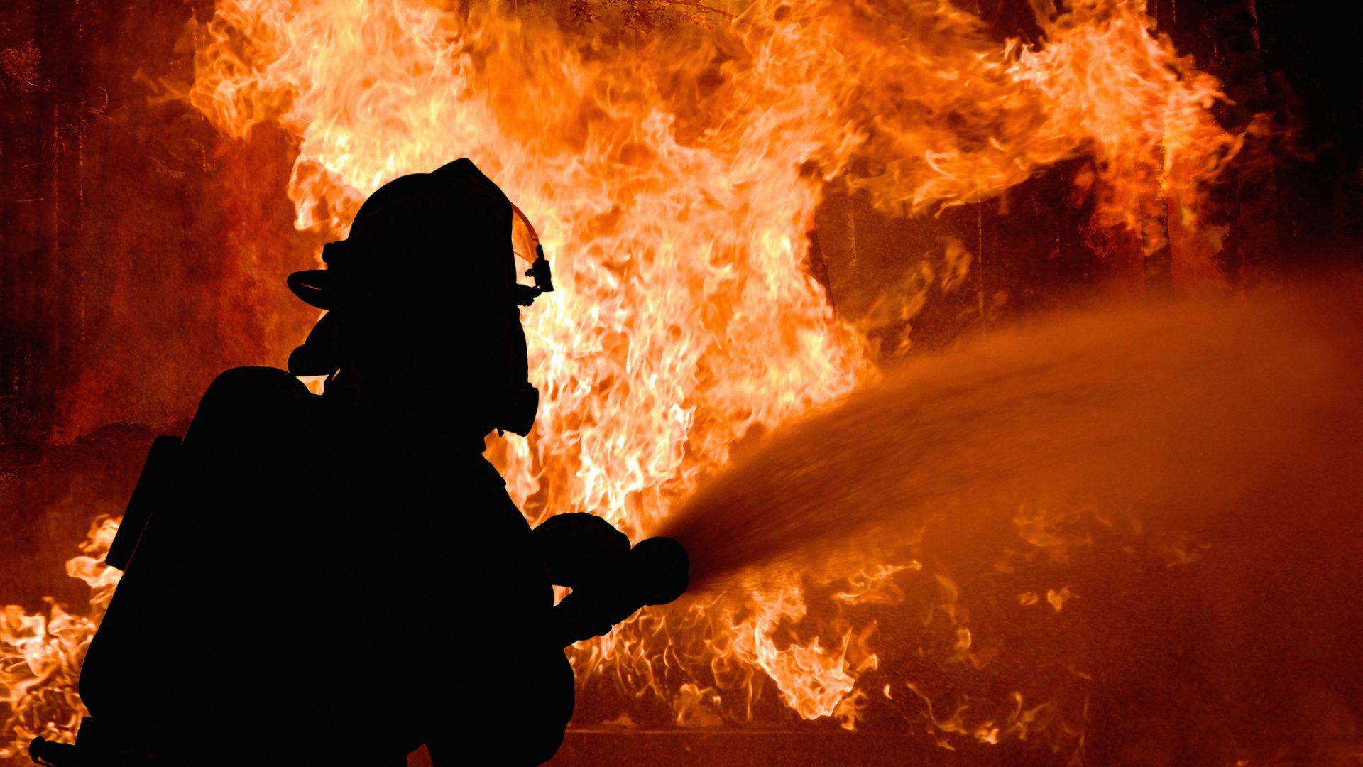 Foto | AV_designer - depositphotos.com