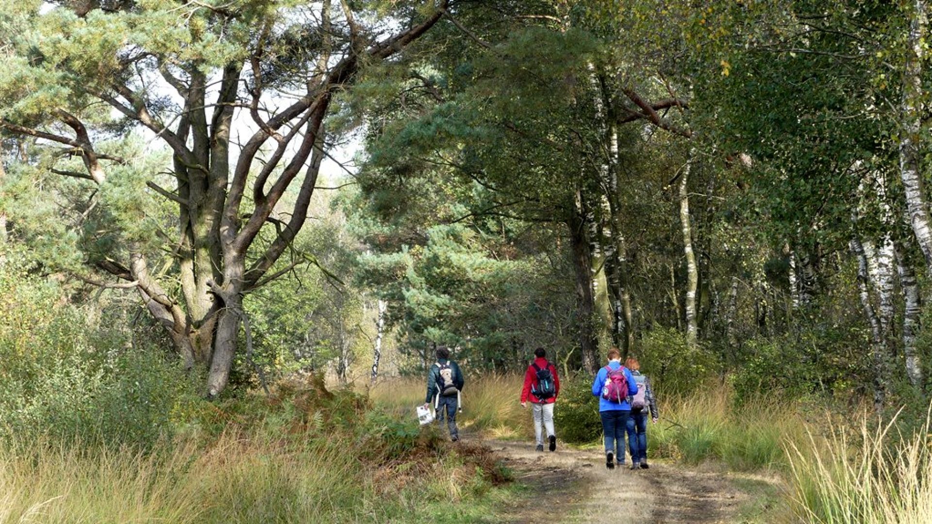 Foto | Marijke Vaes-Schroën | Staatsbosbeheer