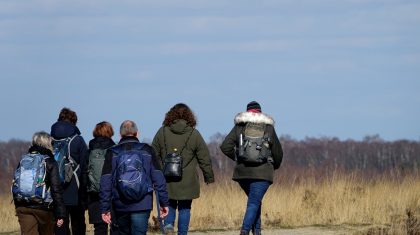 Wandelen-door-de-Peel-Marijke-Vaes-Schroen