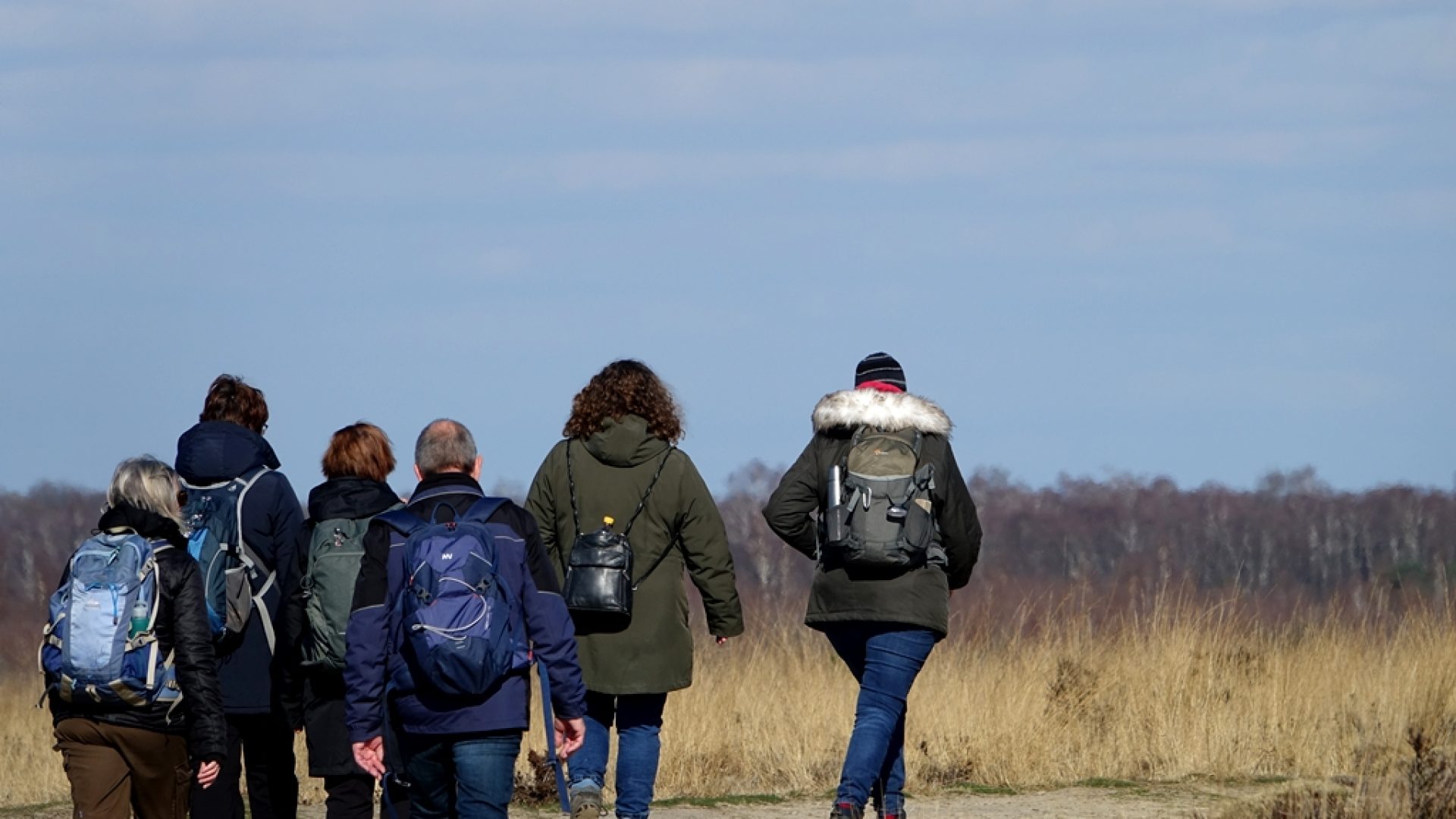 Wandelen-door-de-Peel-Marijke-Vaes-Schroen