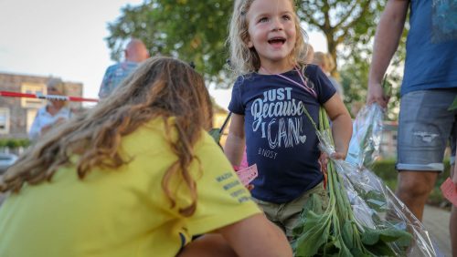 Wandelvierdaagse-KVW-Nederweert-2018-intocht-63