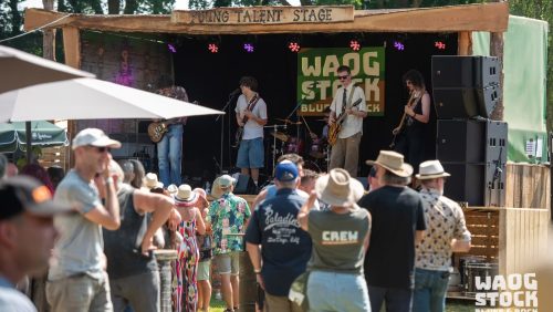 Foto | Waogstock Blues & Rock - John Linders