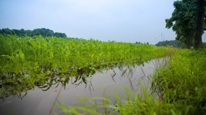 Wateroverlast-akker-1