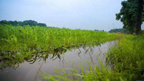 Wateroverlast-akker-1