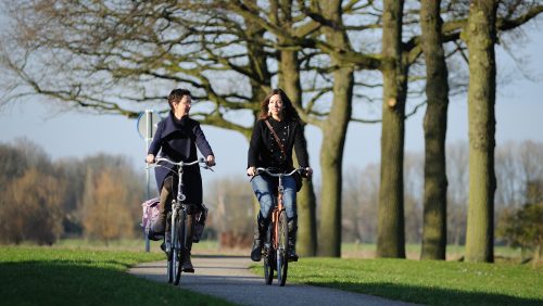 Webinar-‘Mantelzorg-en-positieve-gezondheid