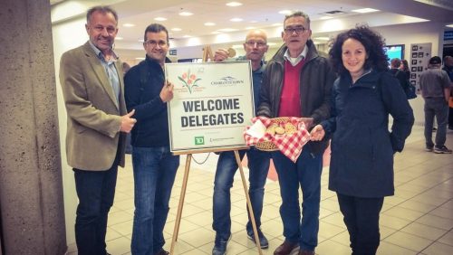 Weert-groenste-stad-van-de-wereld2