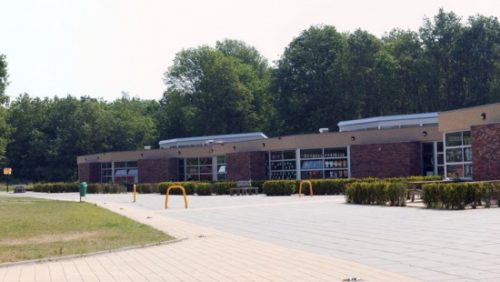 Widdonckschool-Heibloemjpg