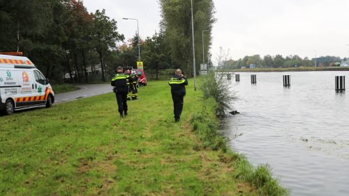 Wild-zwijn-in-Zuid-Willemsvaart-bij-Weert-1