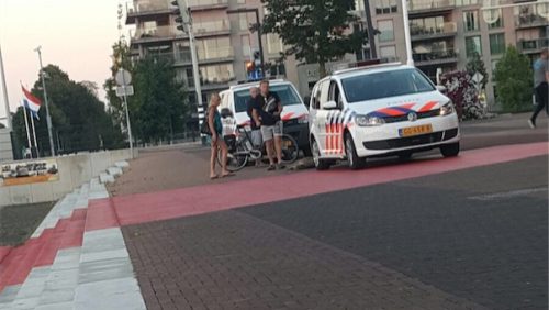 Wilde-zwijnen-in-kanaal-Weert