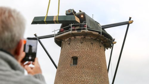 Windpeluw-van-molen-verwijderd-Korenbloem-Ospel-6