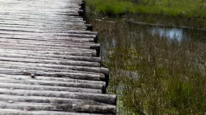 Workshop-fotografie-De-Peel-Linda-Beelen