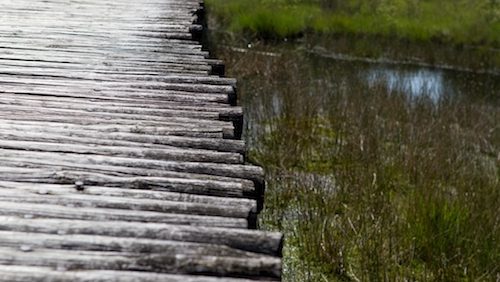Workshop-fotografie-De-Peel-Linda-Beelen
