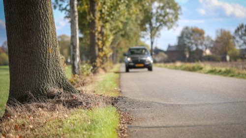 Worteldruk-Leveroysedijk-Nederweert-Eind-Nederweert24-1-1