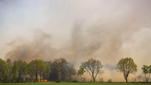 Zeer-grote-brand-Peel-16