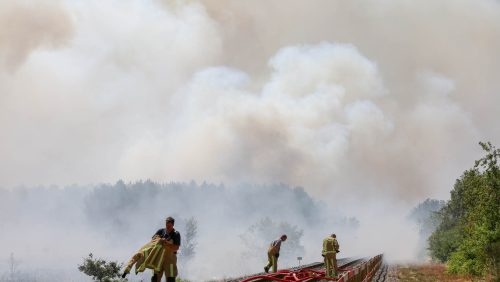 Zeer-grote-brand-bosgebied-Weert-Budel-7