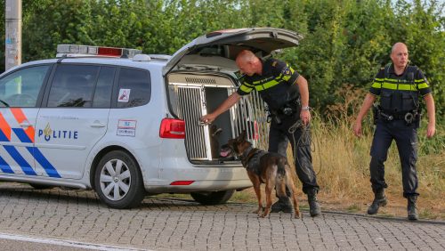 Zoektocht-naar-man-in-maisveld-Ellerbrug-Ell-5